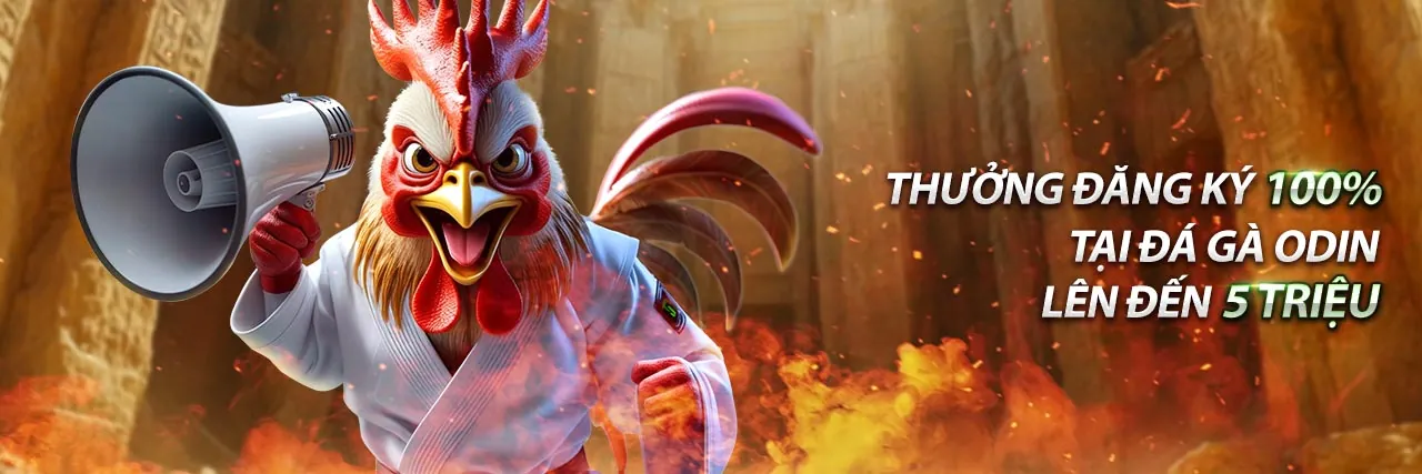 Tin tức mới nhất từ E88